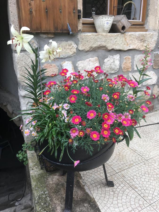 拉让帖特La Mascotte住宿加早餐旅馆 外观 照片